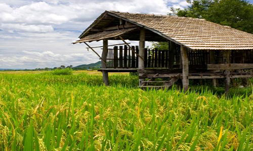 hotels in pai mae hong son